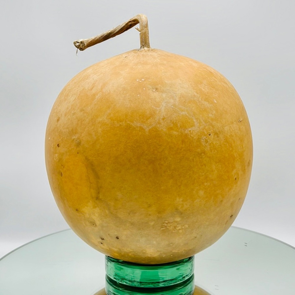 Clean Dried Natural Gourd 
ARTS & CRAFTS Project Ready ~ X-Large Full Moon Style